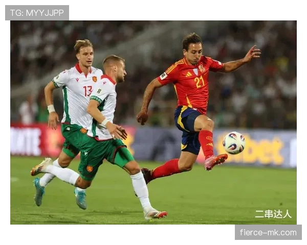 保加利亚球迷支持 保加利亚球迷支持